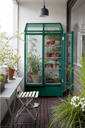 Greenhouse for the balcony