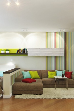 Design living-dormitor 17 mp. m