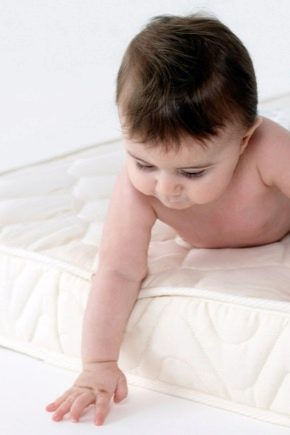 Plitex children's mattresses
