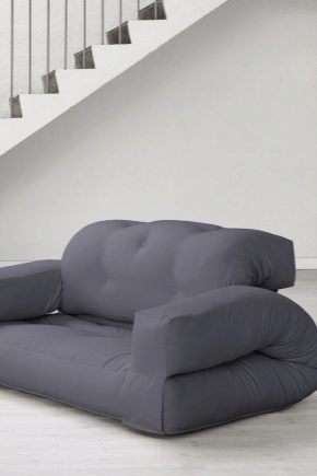 扶手椅床：选择的功能