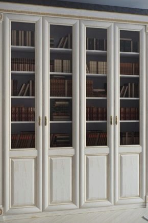 Bibliotecă cu uși din sticlă: alegere și design