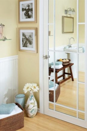 Interior doors with a mirror: style and functionality