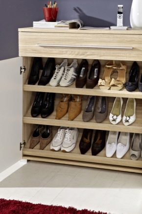 Armoires à chaussures dans le couloir: un détail important à l'intérieur