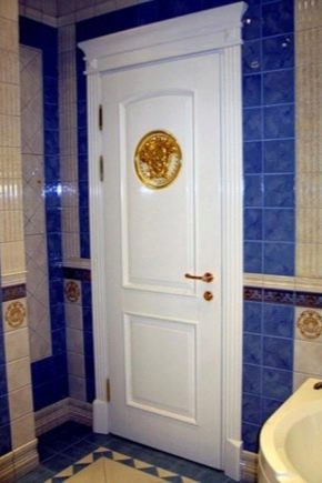 Alegerea ușilor pentru toaletă și baie