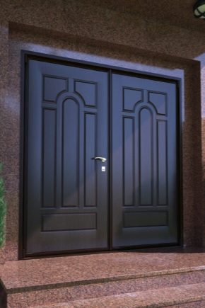 Double-leaf entrance metal doors