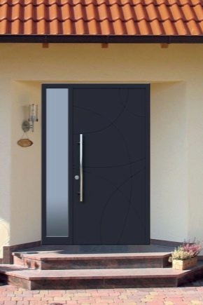 Steel doors: views and features