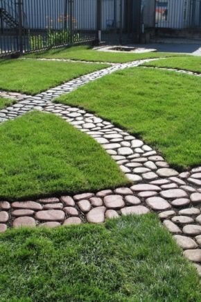 Do-it-yourself paths in the country from scrap materials