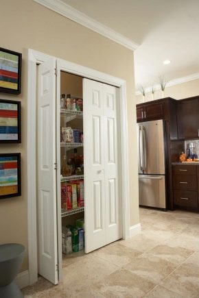 Pantry doors: standard and non-standard options