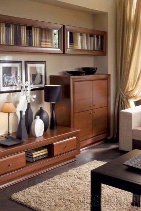 Cum alegi mobilierul pentru camera ta de zi?