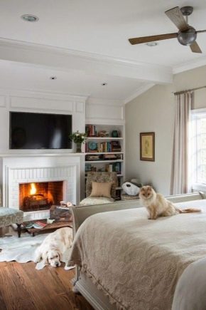 What kind of fireplace to put in the bedroom?
