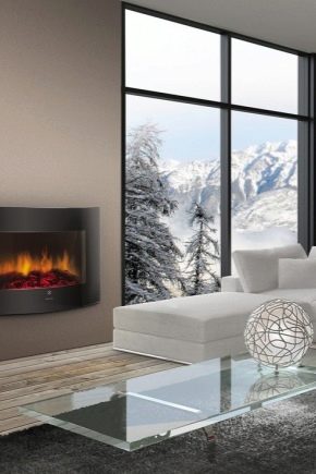 Fireplaces from Electrolux: an overview of the products of a popular brand