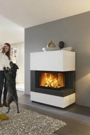 Modern fireplaces in the interior of an apartment and a private house