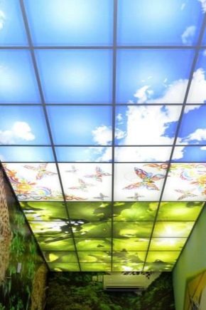 لوحات إضاءة السقف: إيجابيات وسلبيات
