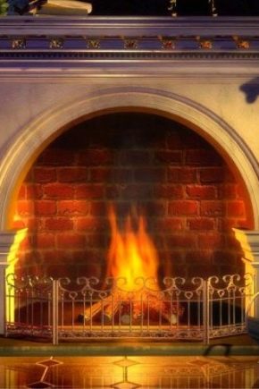 Fireplace device: types and principle of operation