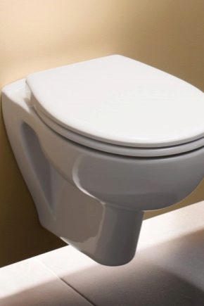 Randloze hangende toiletten: voor- en nadelen