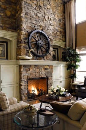 Chimneys for fireplaces: important nuances and useful recommendations