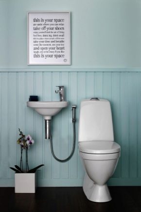 高仪马桶卫生淋浴器：优点和缺点