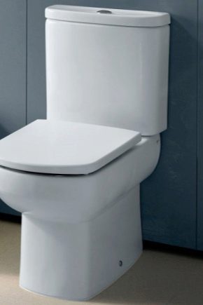 Huse pentru scaune de toaleta Roca: o alegere dintr-o gama larga