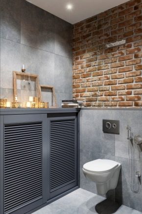 Caratteristiche del design dei servizi igienici in stile loft