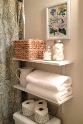 Toilet shelves: design options