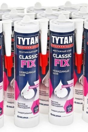 Transparent Tytan adhesive: characteristics and applications