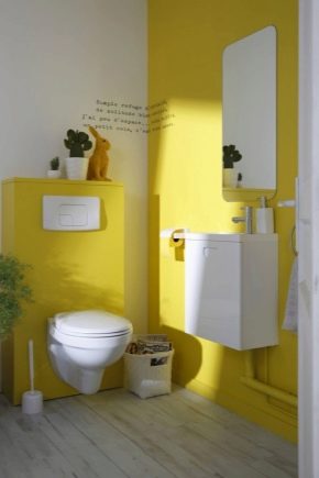 Poppet toalety: vlastnosti, nevýhody a výhody