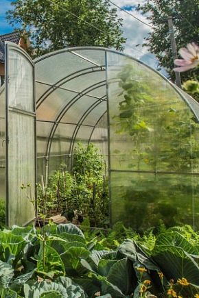 Greenhouses Kremlin: features and benefits