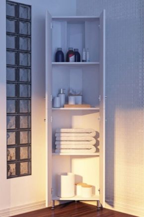 Eckschränke im Inneren von Badezimmern: die Vorteile von Modellen und Tipps zur Auswahl