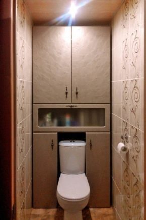 Dulapuri încorporate în toaleta din spatele toaletei: varietate de modele și subtilități de fabricație