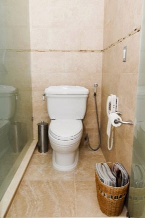 Výměna toalety: jemnost procesu