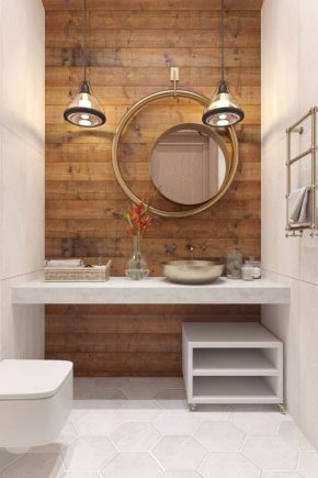 Toilet design: optimal solutions for small spaces