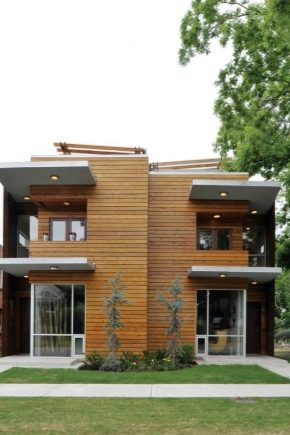 Two-family house with two separate entrances: project examples