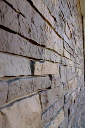 Fassadenplatten für Stein: Arten und Eigenschaften