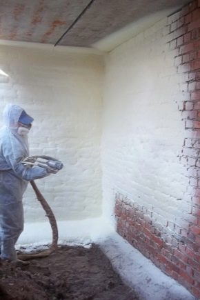 Insulation paint: description and specifications