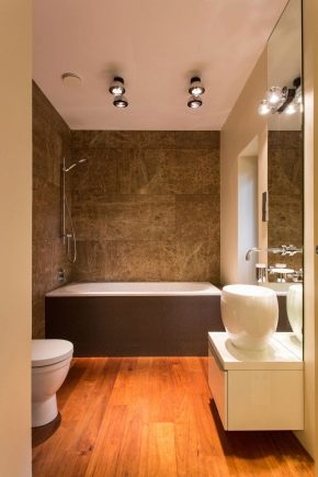 Small bath: types, sizes and features of choice