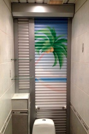 We select roller shutters for the toilet
