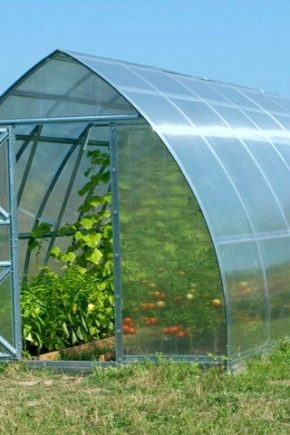 Sizes of polycarbonate greenhouses: selection criteria