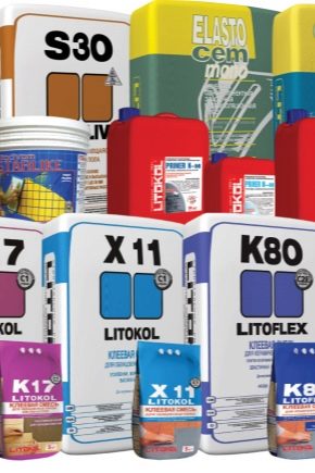 建筑混合物 Litokol：用途和品种的分类