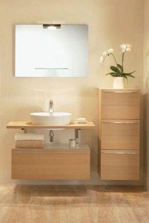 Meubles sous-vasques pour lavabos suspendus: variétés de modèles