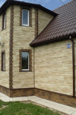 Fasadni paneli Alta Profile: izbor i montaža