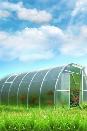 How to build a polycarbonate greenhouse correctly?