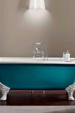 选择哪种铸铁浴缸更好：流行型号概述