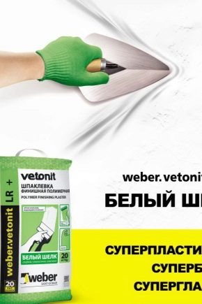 Subtleties of using the finishing putty Vetonit LR