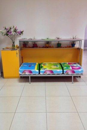 Alegerea unui pat-dulap pliant pentru copii