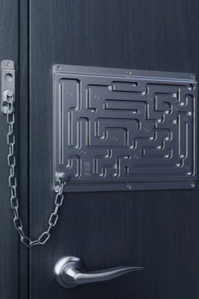 门上的链条：品种和安装方法