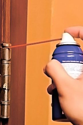 How and how to lubricate the door hinges so that they do not creak?