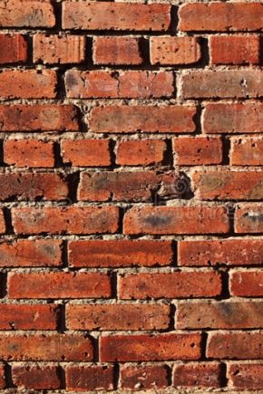 Red bricks: description and varieties