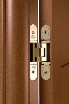 مفصلات مخفية للأبواب: ميزات الاختيار والتركيب