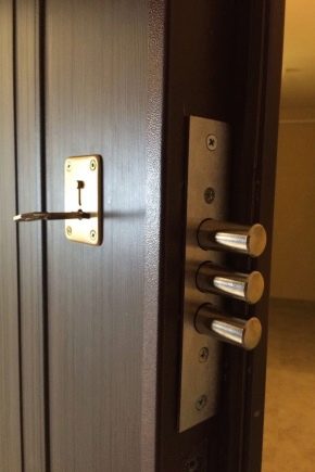 钢门插芯锁：设备、类型和安装