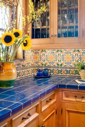 Varieties of ceramic tiles for the kitchen and recommendations for its selection